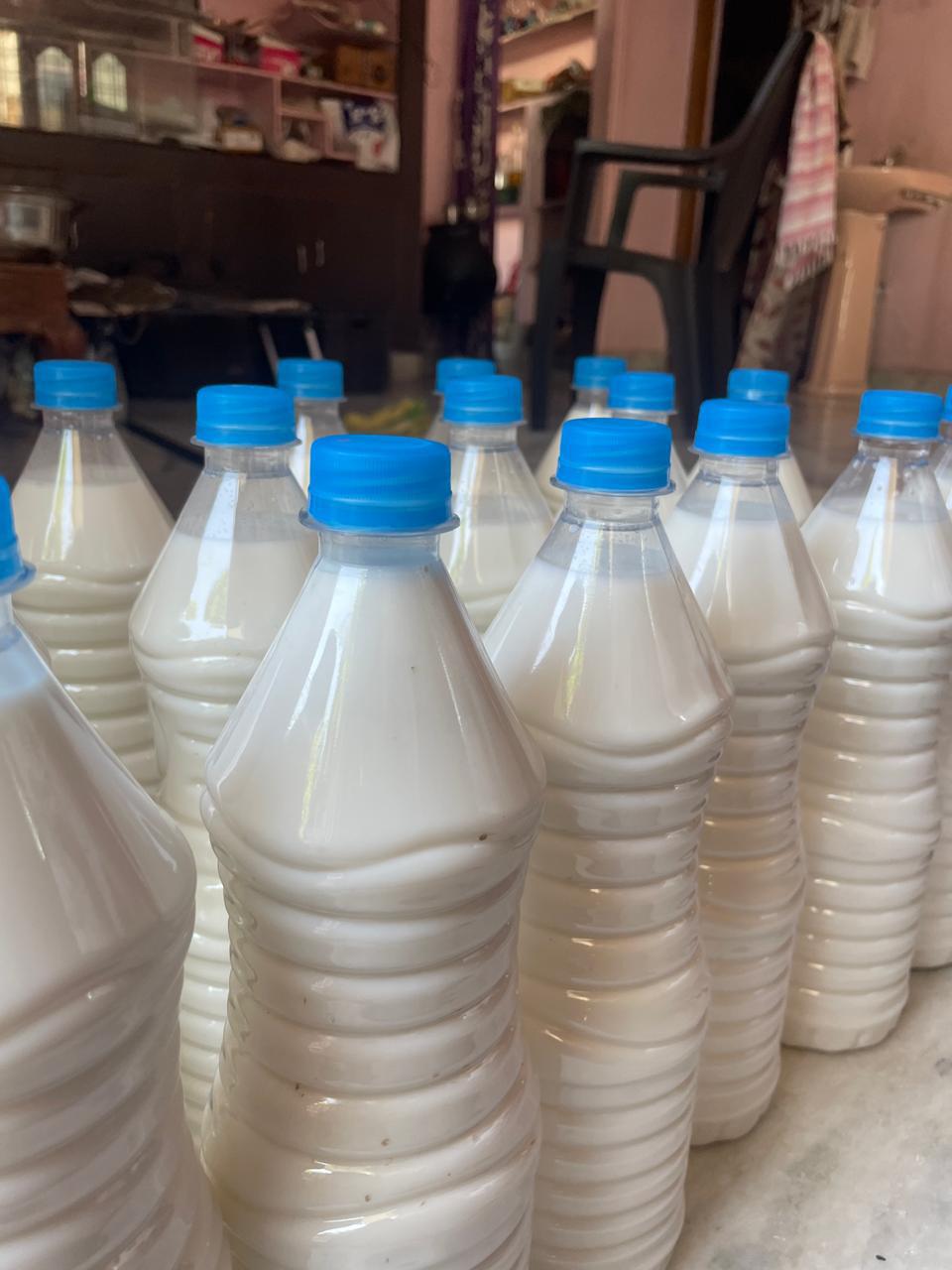 Floor Cleaner (1L)